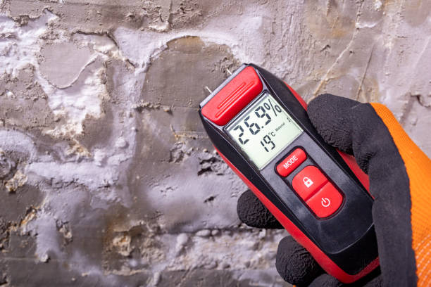Mold Removal and Inspection in Beach Haven, NJ